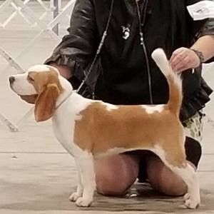 Meet your Posher, Ann